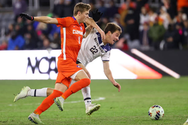 总能找到新 总能找到新